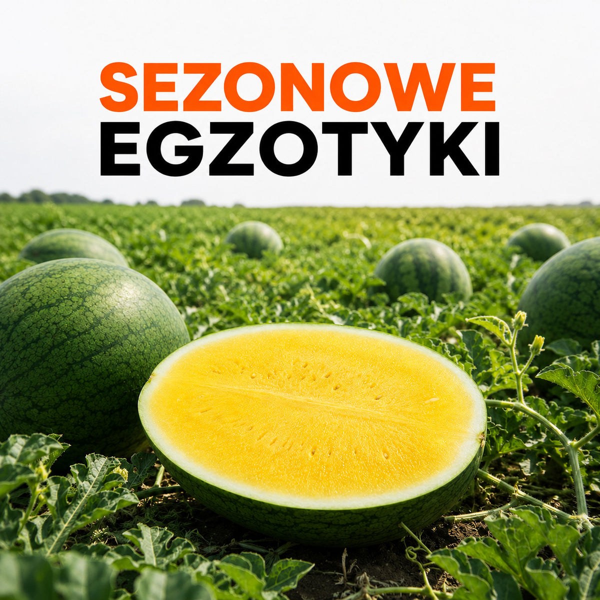 Sezonowe egzotyki wracają do Markiewka! 🍈🐉🥭