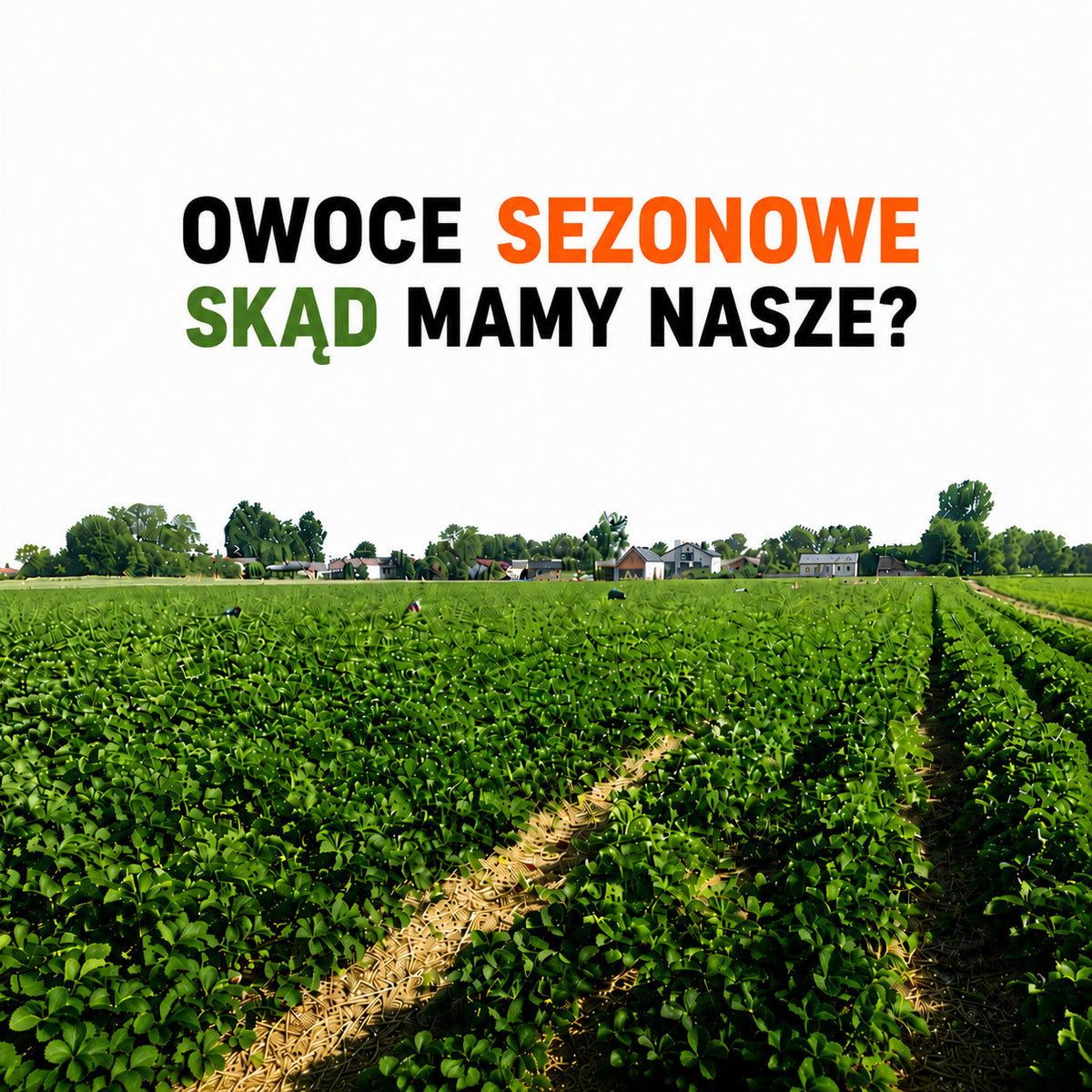 Dlaczego od lat współpracujemy z tymi samymi plantatorami?