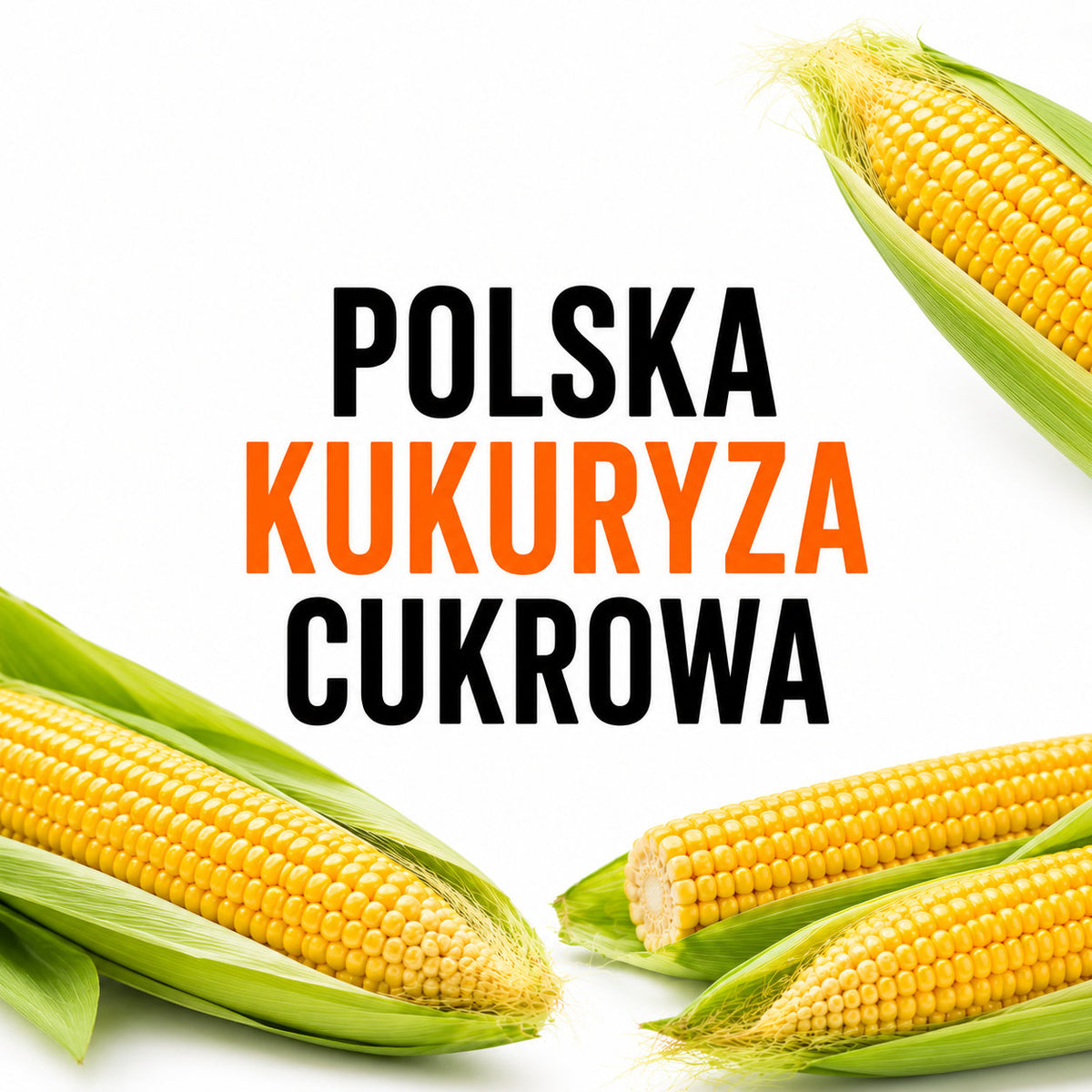 Pierwsza polska kukurydza cukrowa – dlaczego warto na nią czekać?