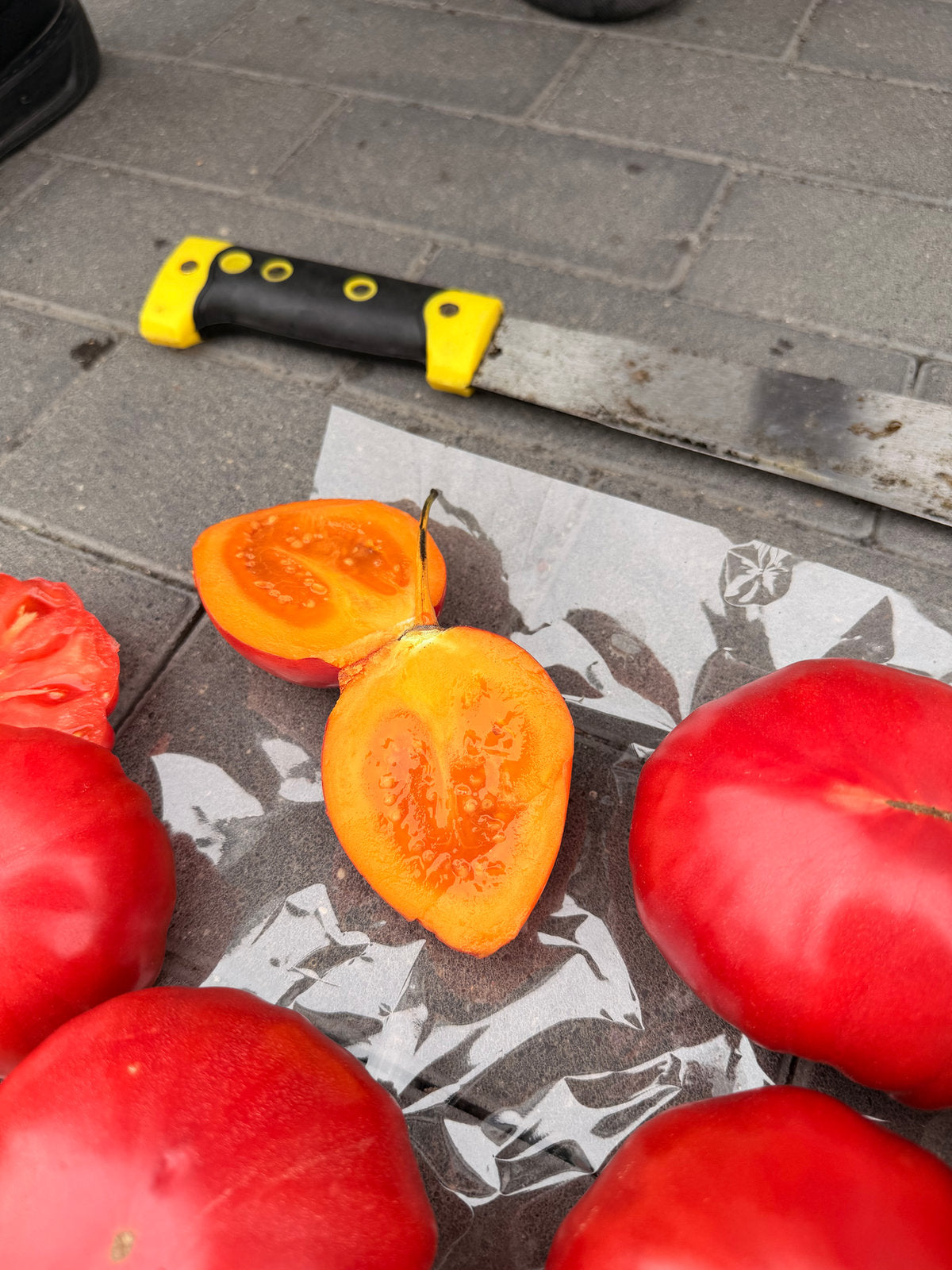 Przekrojone tamarillo z pomarańczowym miąższem