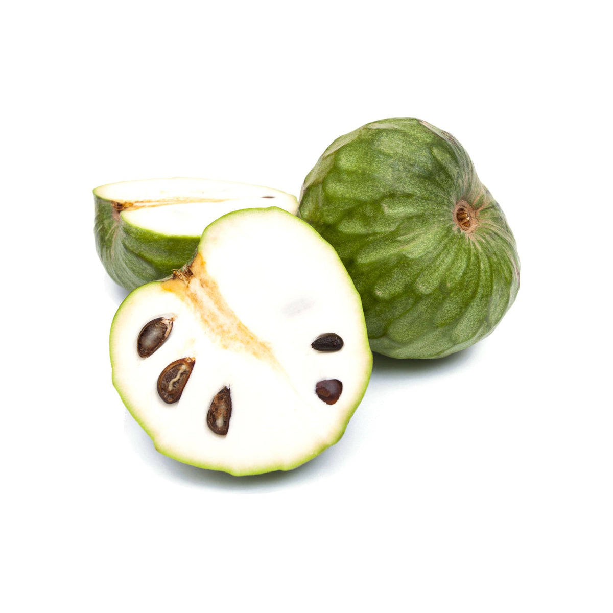 Cherimoya – Flaszowiec Peruwiański