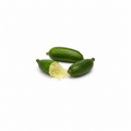 Limonka Kawiorowa