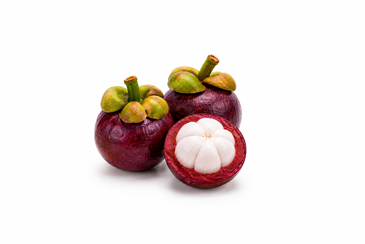 Mangostan