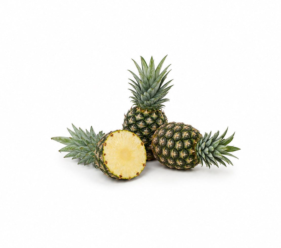 Ananas MD-2 SCB